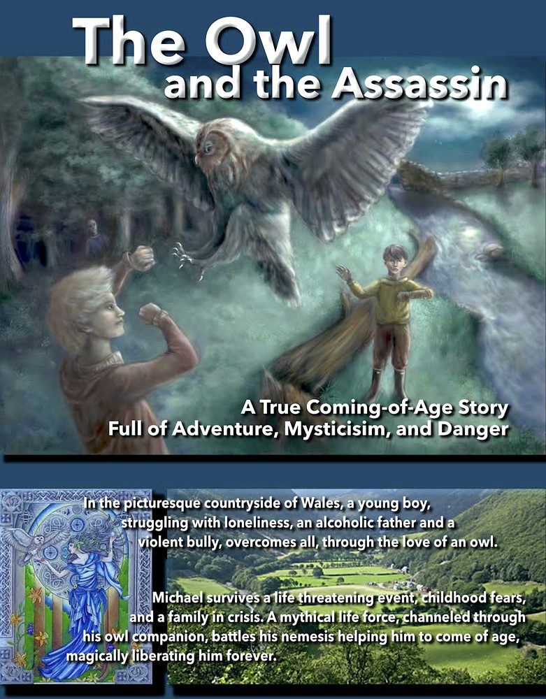 Poster for The Owl and the Assassin: an owl in flight over a Welsh landscape.
