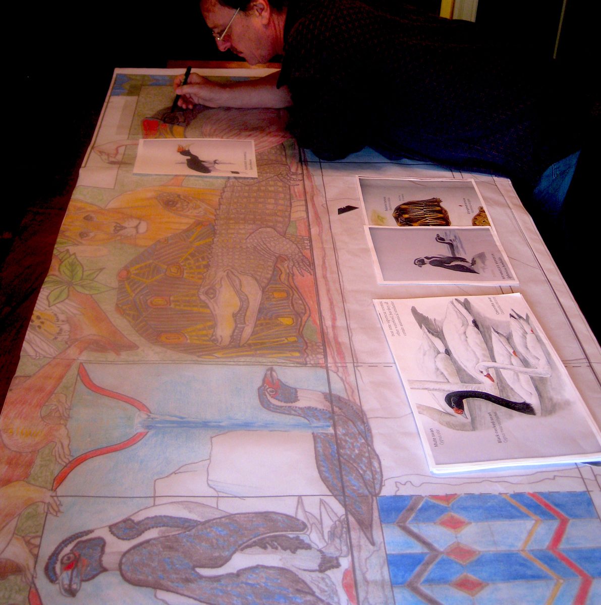The full-size cartoon from above: a penguin, a black swan and a flamingo sketched in colour pencil, with reference photographs of each animal laid on top.