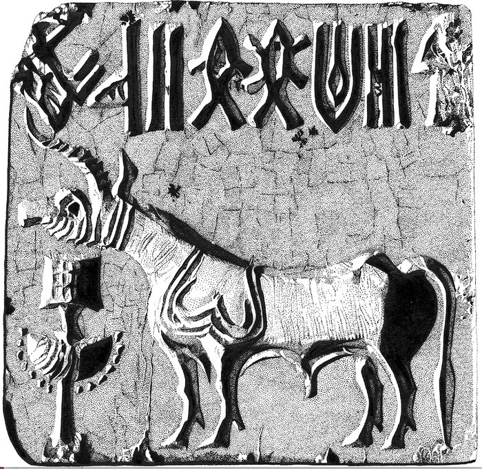 Pen-and-ink drawing: Indus Unicorn Seal.