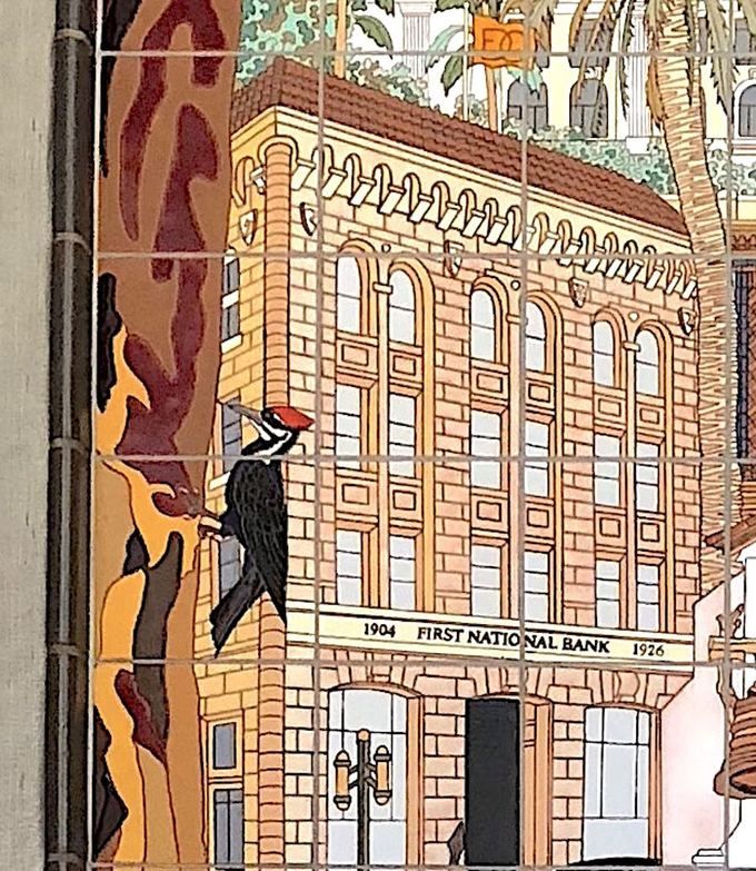 Detail: a pileated woodpecker with a red crest clinging to a tree trunk beside the brick facade of the First National Bank building dated 1904 and 1926.